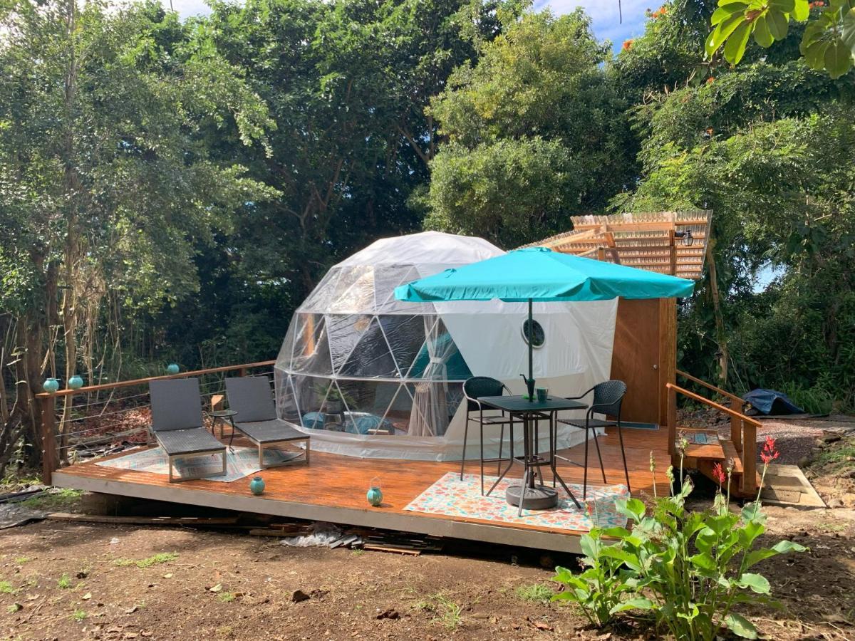 Kealakekua Manta Soul Jungle Geodome酒店 外观 照片